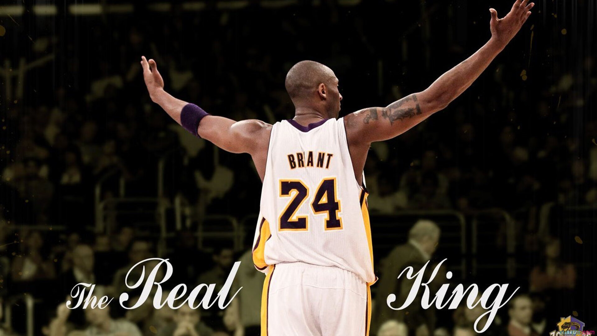 篮球场馆智能化运营管理提升效率,篮球场运营管理方案