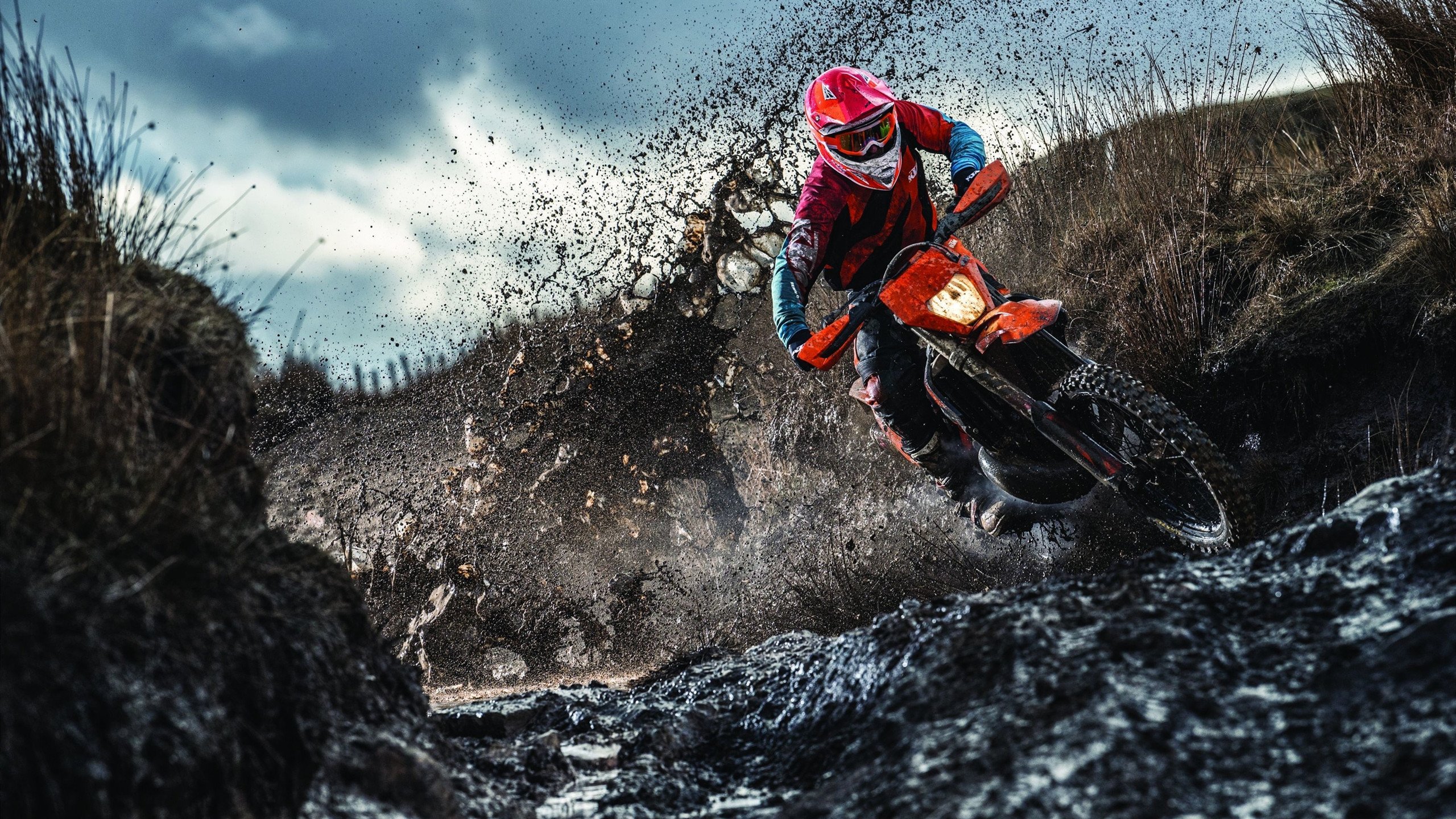 青训合作联盟签订多项战略合作，推动行业繁荣，青训会是什么